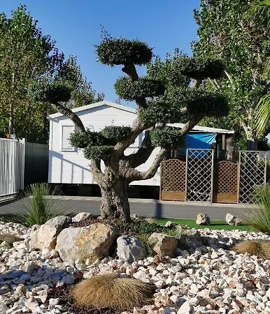 Les Sables Du Midi *