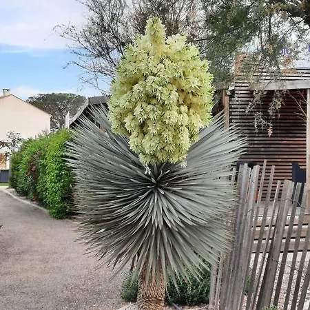 Les Sables Du Midi * Valras-Plage