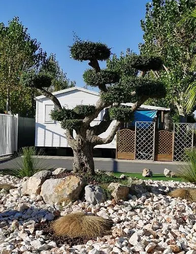 Les Sables Du Midi *