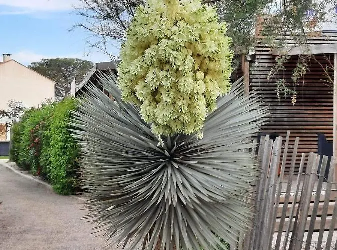 Les Sables Du Midi * Valras-Plage
